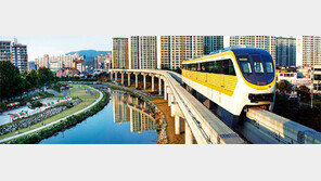 지상 29m를 씽씽… ‘힐링鐵’ 뜬다