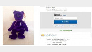 벼룩시장 1만 원대 곰 인형, 알고보니 ‘1억 원 가치’… 횡재! 