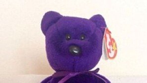 벼룩시장서 1만 6000원 주고 산 곰 인형, 알고 보니 1억 짜리 한정판…심상치 않은 인형임을 직감?