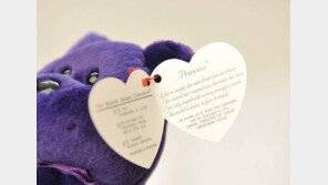 벼룩시장 10파운드 곰 인형, 알고 보니 故다이애나비 추모 한정판…경매가 1억원