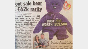 벼룩시장 1억 곰 인형, 10파운드 주고 산 인형이…“이렇게까지 높은 가치가 있을 줄은”