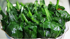 눈 건강에 좋은 식품, ‘녹황색 채소’ 망막 피해 막는 ‘루테인’ 성분 풍부