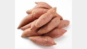 포만감 높은 식품, 고구마부터 견과류… ‘쉽게 접할 수 있어’