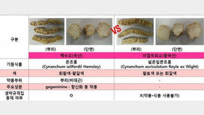 시중 유통 백수오 제품, 60% 이상 금지원료 검출…내츄럴엔도텍 “공인 검사방식 무시” 주장