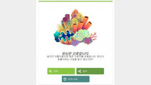 오늘(22일)은 지구의 날… 구글, ‘나는 어떤 동물’ 퀴즈에 생소한 동물 ‘화제’