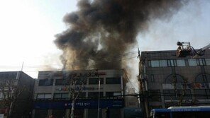 [속보] 대치동 화재, 학원가 건물에서 큰 불 ‘진화 중’