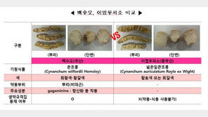 가짜 백수오 논란, 갱년기에 좋다? 시중 제품 32개 중 진짜는…‘반전 결과’ 충격