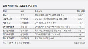 IPO시장, 준척급 10여곳 몰려온다