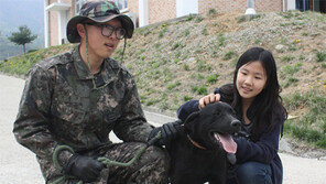 육군 군견 50마리 전역식… 민간에 무료분양 ‘새 삶’