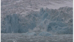 국제 공동 연구팀 “북극 온난화, 식물성 플랑크톤이 증폭”
