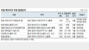 [Home&Dream]수천만 원 웃돈까지… 택지지구 청약열기 ‘핫∼뜨거’ 