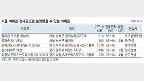 [Home&Dream]날뛰는 전세금에 속타는 세입자… 이참에 내 집 마련 해볼까?