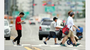 서울 횡단보도 정비, 서울 횡단보도 턱 1㎝로 낮아진다…다른 변화 보니?