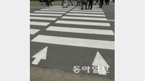 '서울 횡단보도 정비' 어떻게 바뀌나 보니… '와우!'