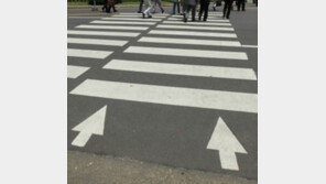 '서울 횡단보도 정비'… 우선 시범 지역은?