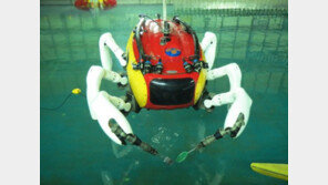 태안 마도 고선박 발견, 발굴 작업에 탐사로봇 투입…꽃게하고 비슷?