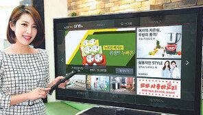 쑥쑥 크는 T커머스 시장… 사업자 벌써 10곳