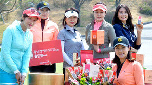 “골프 칠 때도 홍삼정”