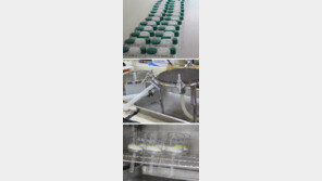 바닷물 20곳서 수거, 시약 넣고 계측기로 정밀측정