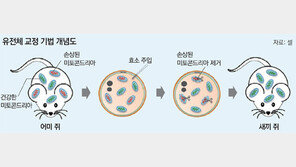 ‘유전체 교정법’ 세 부모법 대안으로