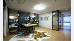 여의도의 중심!  9호선 초역세권 더하우스 소호 5월분양