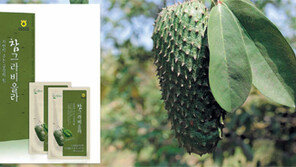 [스마트 컨슈머]신비한 천연 항암식물 ‘그라비올라’를 먹는다