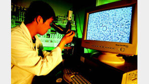 [스마트 컨슈머]보령 글루마D, 관절, 눈, 혈관 건강을 한번에! 