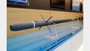 ADD “2.75인치 유도로켓 성능시험 성공…北 공기부양정 대비”