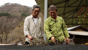 [오늘의 채널A] 지리산 김 사장님의 귀농 노하우