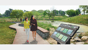 [대구/경북]생태공간으로 다시 태어난 불로동 고분군