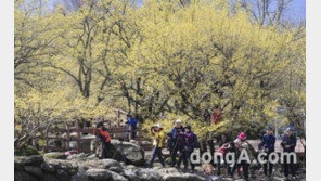 지리산 정규 탐방로, 5월 1일부터 전면 개방 “야간산행 비박행위 강력 단속”