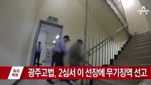 이준석 세월호 선장, 항소심서 살인죄 적용 ‘무기징역’ 선고…“퇴선명령 없었다”