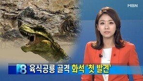 한국의 티라노사우루스류, 경남 하동서 초소형 화석 발견 ‘눈길’
