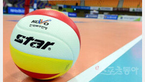 V리그 외국인선수 영입 속앓이 “리우올림픽 때문에…”