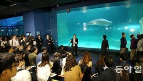 제2롯데월드몰 “수족관-영화관 이젠 안전합니다”