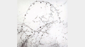 [미술 단신]사진작가 민병헌의 개인전 ‘Monologue’ 外