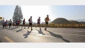 [Money&Life]재테크·노후준비 위한 투자상품, 마음대로 담아 길∼게 굴려봐 