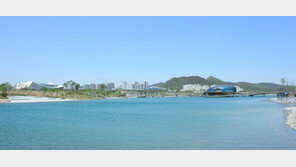 [행복도시, 세종]물, 숲, 공원… 세종시는 누구나 꿈꾸는 도시의 미래다