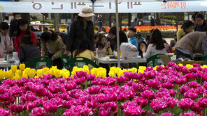 [도시철도로 대전 즐기기]대전오월드에서 가족사랑 만끽! 