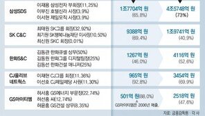 [뉴스 분석]삼성-SK-한화 지배구조 개편의 핵 ‘SI계열사’