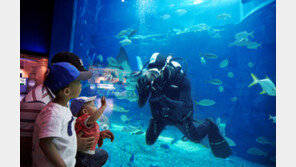 아쿠아플라넷 여수, 5월 ‘사랑의 메시지’ 진행