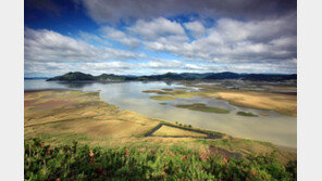 전남 순천시·부산 영도구, ‘순천만 테마송’ 함께 부른다