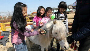 “경마장서 인라인타고 꽃축제 즐기세요”