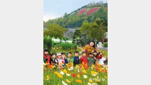 [광주/전남]함평 나비대축제 개막