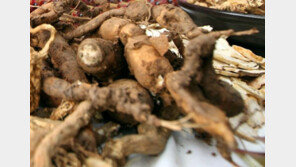 내츄럴엔도텍 임원, ‘가짜 백수오’ 논란 전 주식 지분 매각