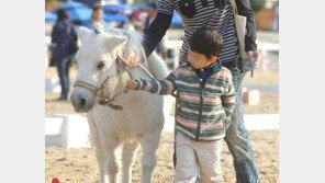 어린이날, 말타고 놀자