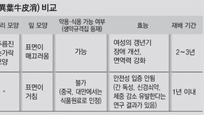“가짜 백수오 인체엔 害없나” 성난 소비자들 항의 빗발 