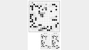 [바둑]제59기 국수전… 실착 88