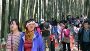 제17회 담양 대나무축제 개막, ‘대숲의 속삭임, 세계와 어울림’