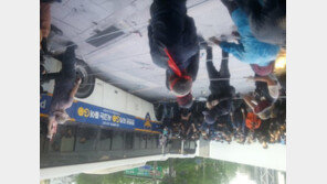 근로자의 날, 노동-시민단체 대규모 집회에 서울 도심 마비